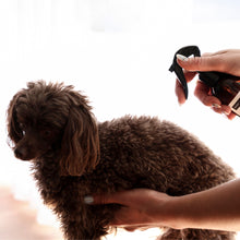 Load image into Gallery viewer, Doggy Deodorant
