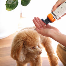 Load image into Gallery viewer, Dog Shampoo 250ml
