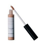 Eco Minerals Concealer