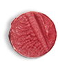 Load image into Gallery viewer, LUK Lipstick
